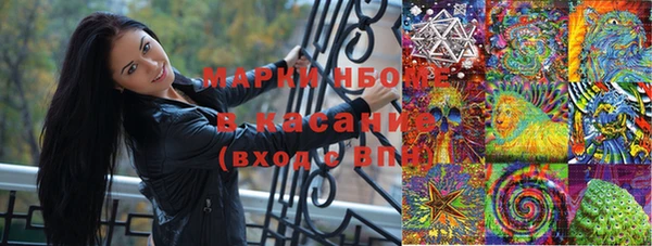 трава Арсеньев